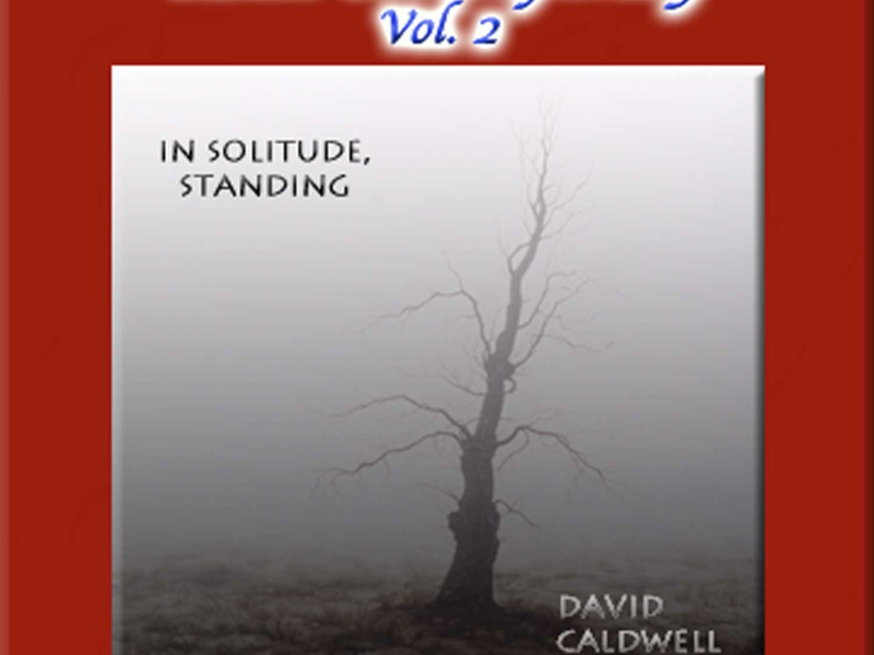 Adult Contemporary Vol. 2: In Solitude, Standing