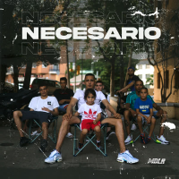 Necesario (Single)