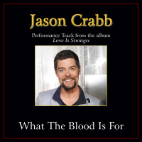 What The Blood Is For (Performance Tracks) (Single)