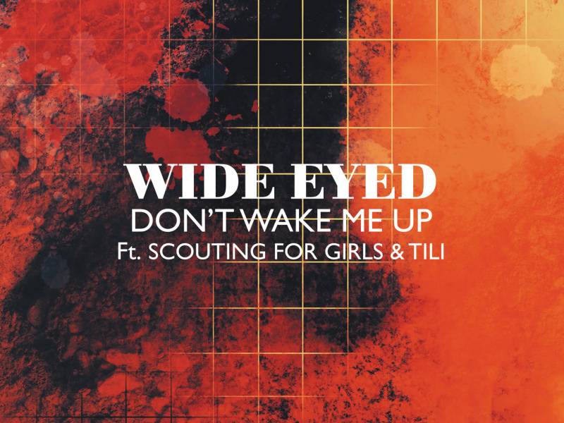 Don't Wake Me Up (Single)