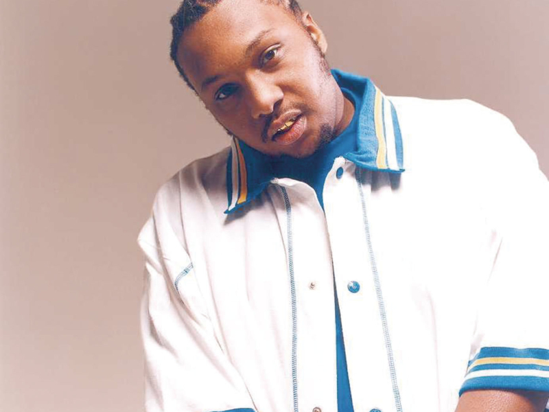 Ladies Luv Me (Clean) (Single)