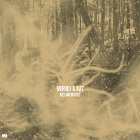 Metamorfosis (Single)