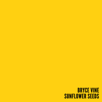 Sunflower Seeds (Single)