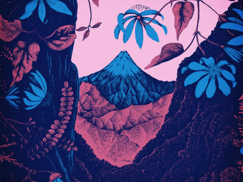 Te Ao Mārama (Single)