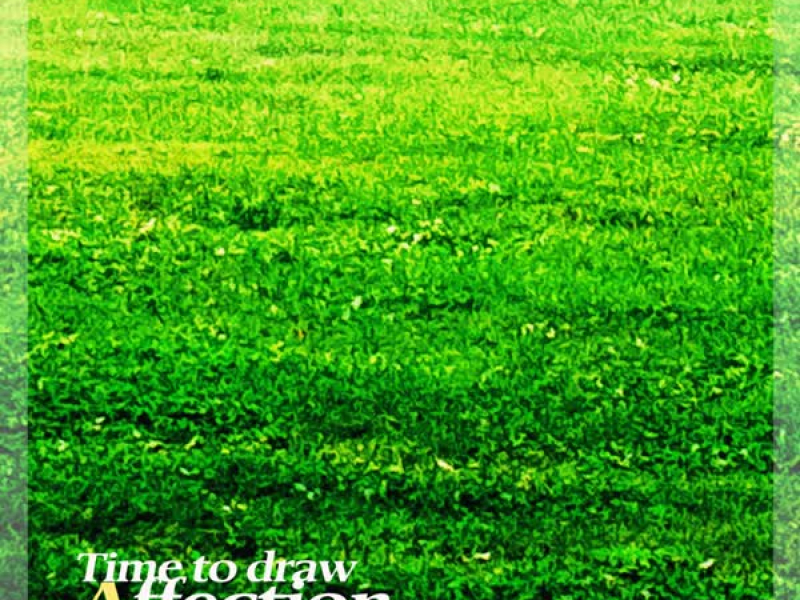 Time to draw affection (Single)