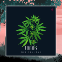 Cannabis (Single)