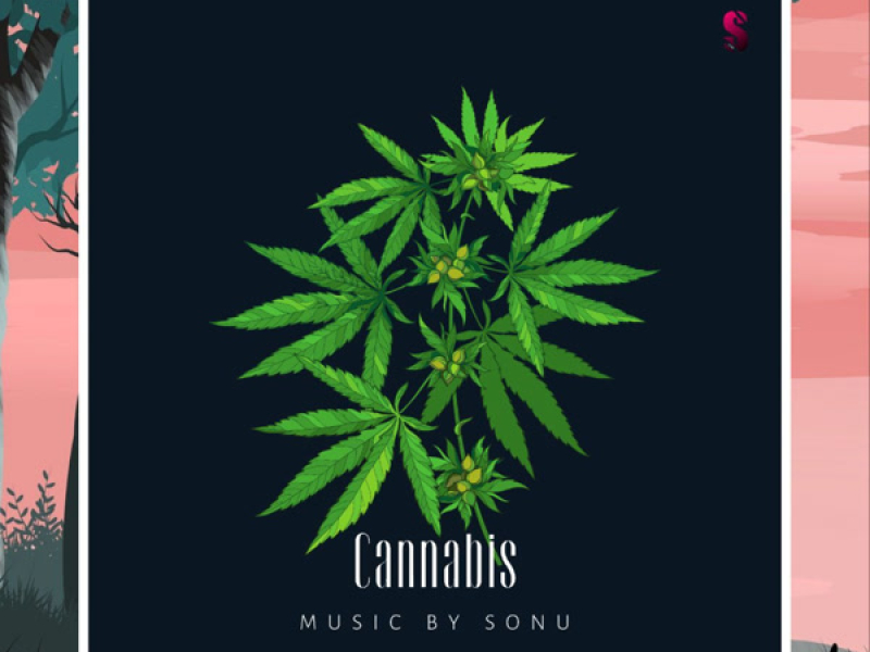 Cannabis (Single)