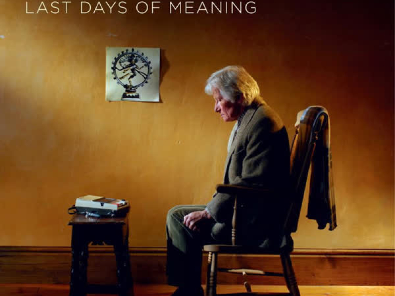 Last Days of Meaning