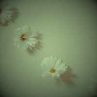 tonight its drizzling (Single)