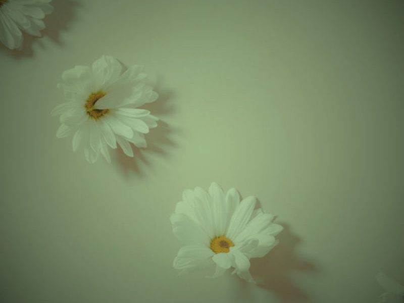 tonight its drizzling (Single)