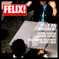 Silver Screen (Shower Scene) (Alexander Delanois Private Mix) (Single)