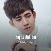 Hay Là Anh Sai (Single)