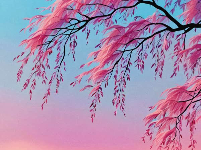 Willow Tree (Single)