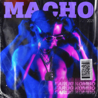 Farlig Kombo (Single)