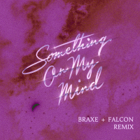 Something On My Mind (Braxe + Falcon Remix) (EP)