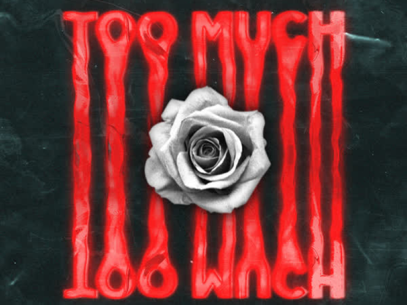 Too Much (Single)