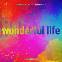 Wonderful Life (Klub Rider Remix) (Single)