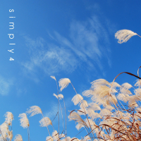 Your Faithful Love (Single)