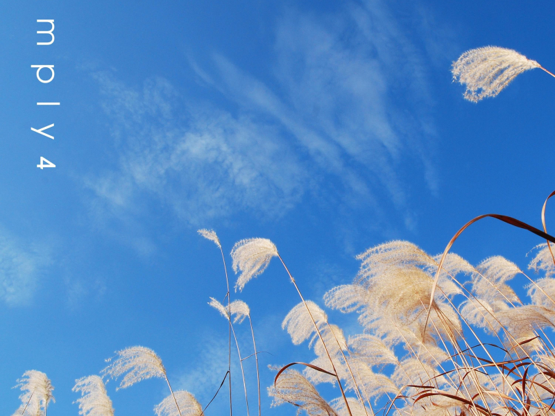 Your Faithful Love (Single)