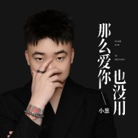 那么爱你也没用 (Single)