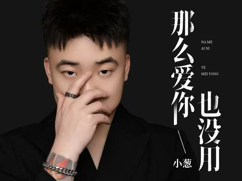 那么爱你也没用 (Single)