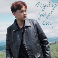 Ngày Gặp Em (Single)
