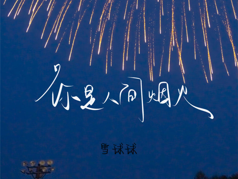 你是人间烟火 (Single)