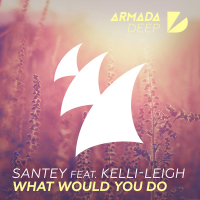 What Would You Do (Single)