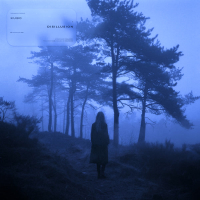 disillusion (Single)