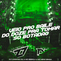 VEIO PRO BAILE DO DOZE PRA TOMAR SÓ BOTADÃO (Single)