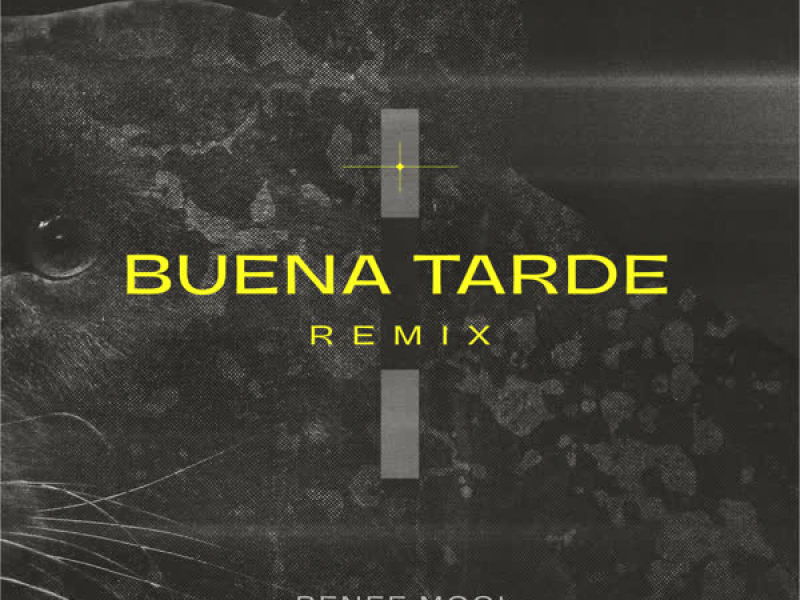 Pantera (Buena Tarde Remix) (Single)