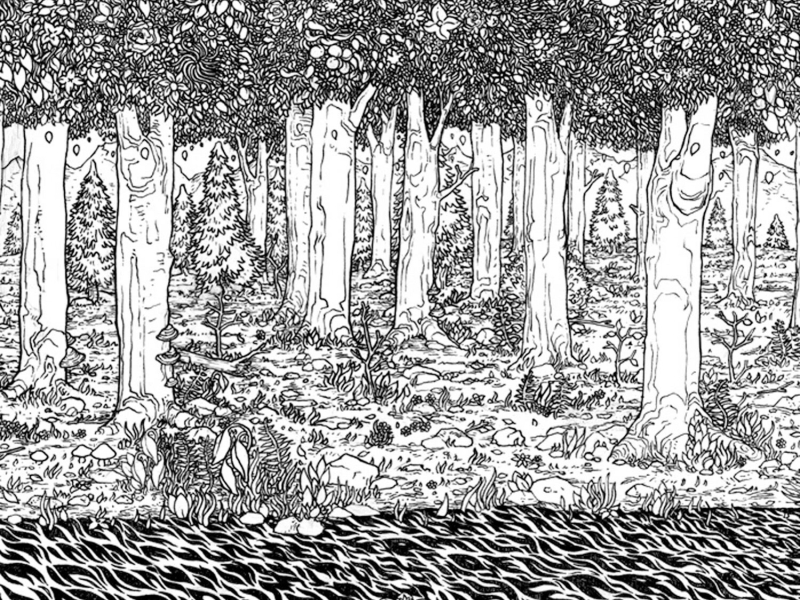 Through the Trees (EP)