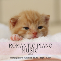 Romantic Piano Music, Vol. 2: Soothing Piano Music for Relax, Study, Sleep (Single)