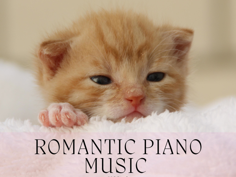 Romantic Piano Music, Vol. 2: Soothing Piano Music for Relax, Study, Sleep (Single)