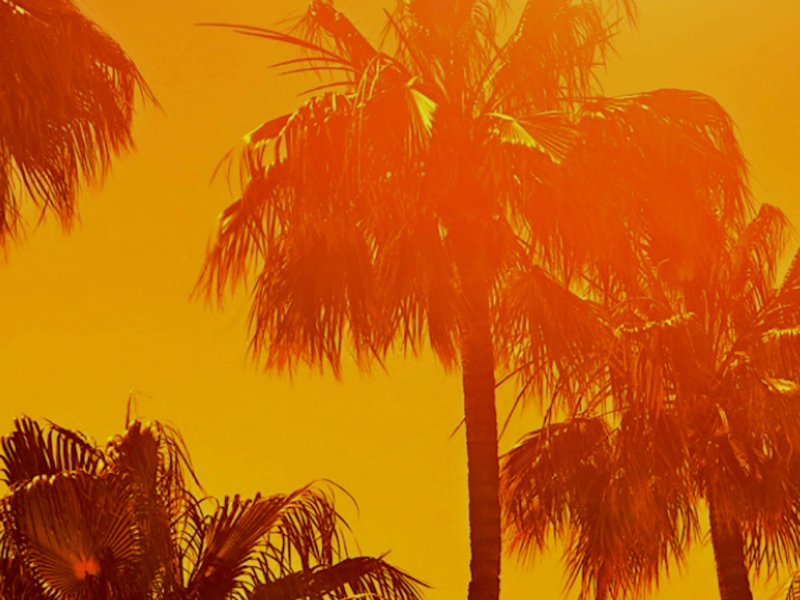 Latin Jazz Blues Backing Track (Bb) (Single)