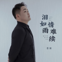 泪如雨情难续 (Single)