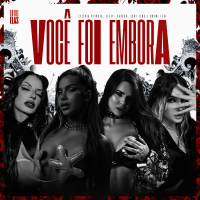 Você Foi Embora (Single)
