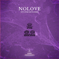 Stupid Bitches (Single)