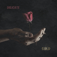 Delicate (Single)