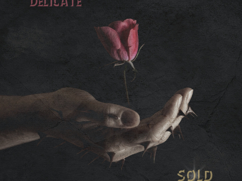 Delicate (Single)