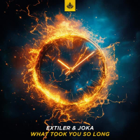 What Took You So Long (Single)