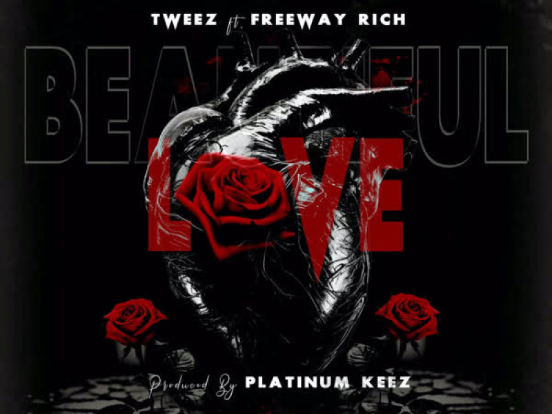 Beautiful Love (Single)