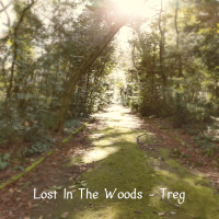 Lost In The Woods (Single)