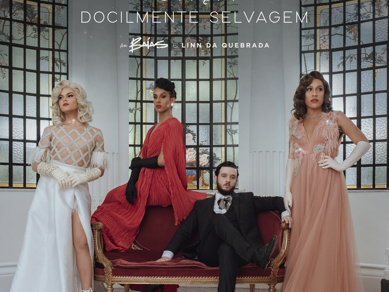 Onça / Docilmente Selvagem