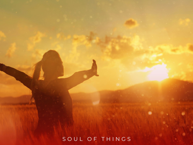 Soul Of Things (Single)