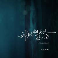 我好想再见你一面 (Single)