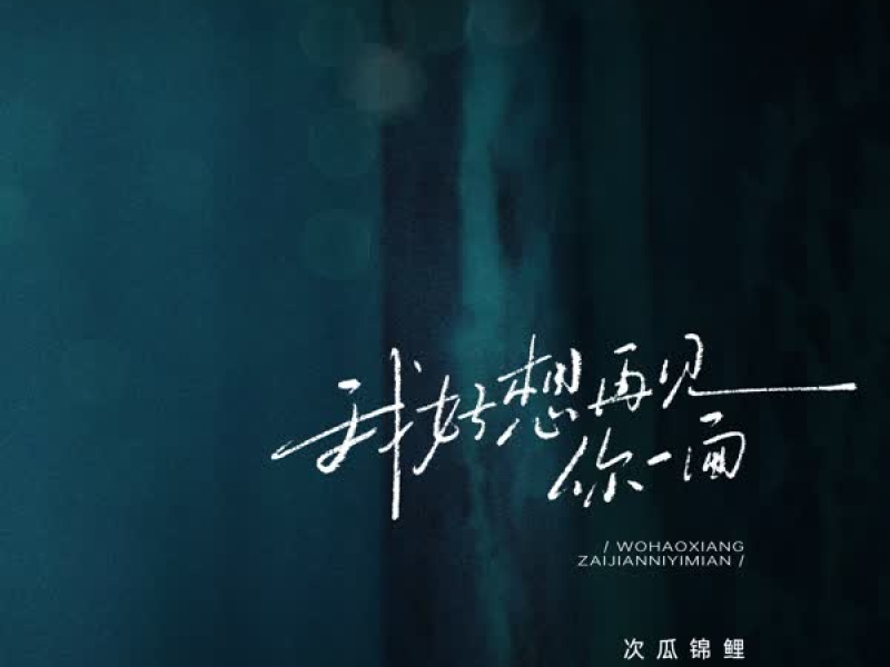 我好想再见你一面 (Single)