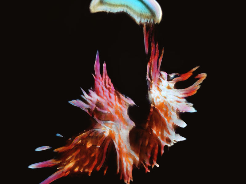 I Found You (Prospa Remix) (Single)