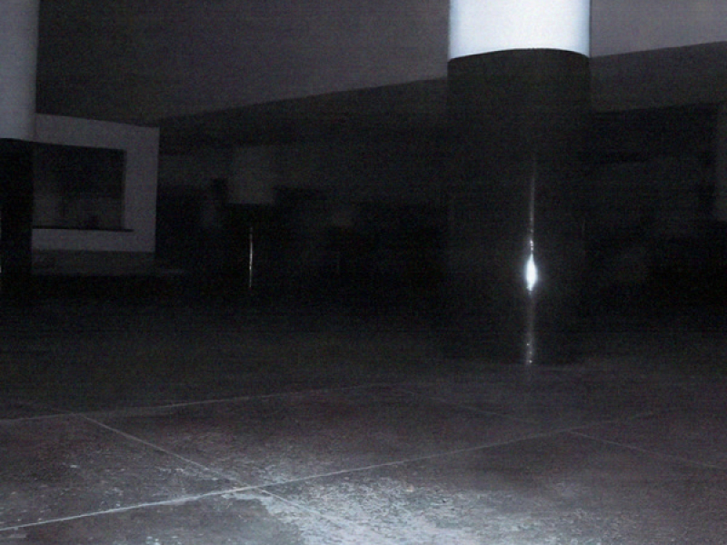 flowercycle (Single)