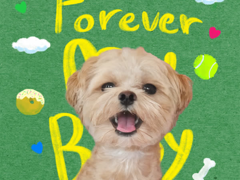 Forever My Baby (Single)